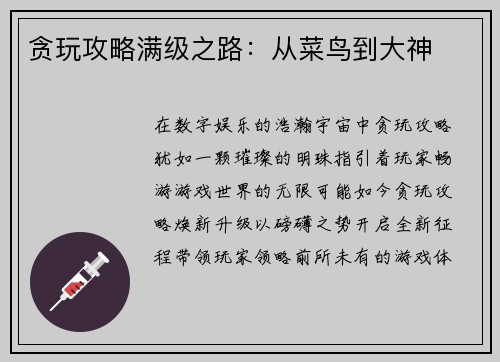 贪玩攻略满级之路：从菜鸟到大神